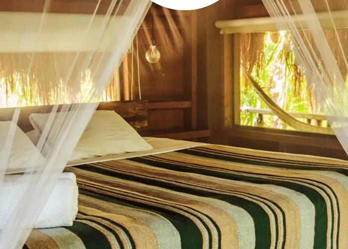 Vida Silvestre * Tulum
