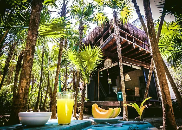 Lodge Vida Silvestre