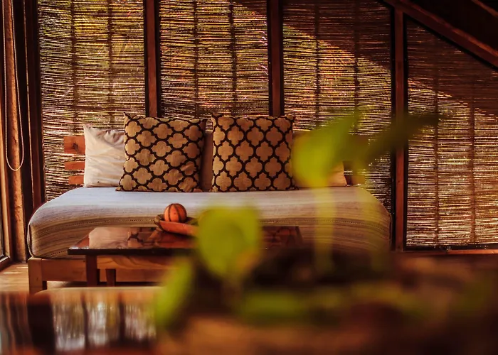 Lodge Vida Silvestre