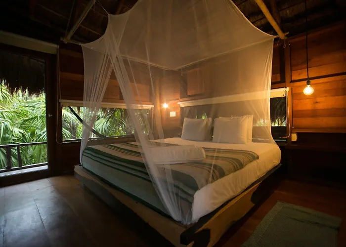 Vida Silvestre * Tulum