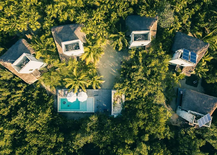 Vida Silvestre Tulum