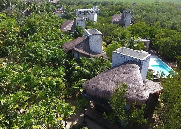Vida Silvestre Tulum