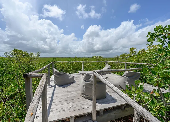 Vida Silvestre Lodge Tulum