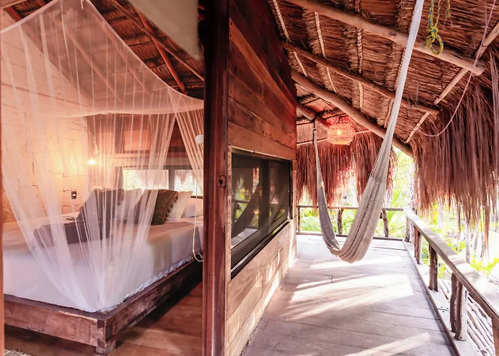 Lodge Vida Silvestre *