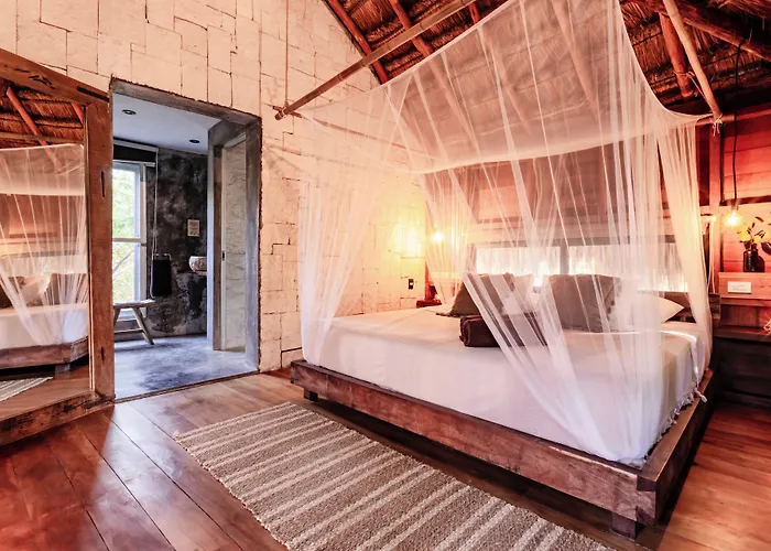 Vida Silvestre Tulum