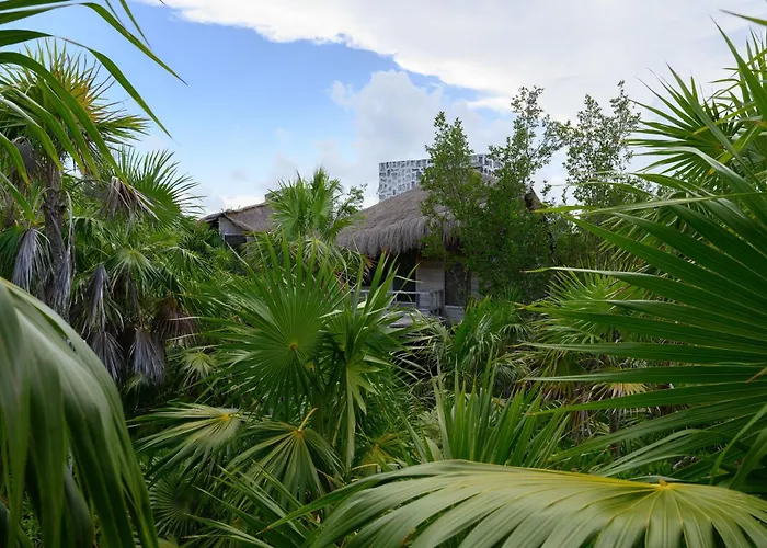 Vida Silvestre Lodge *