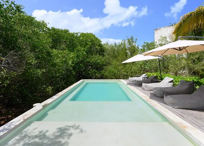 Lodge Vida Silvestre