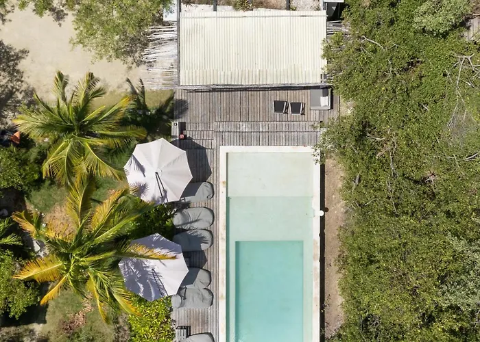 Lodge Vida Silvestre