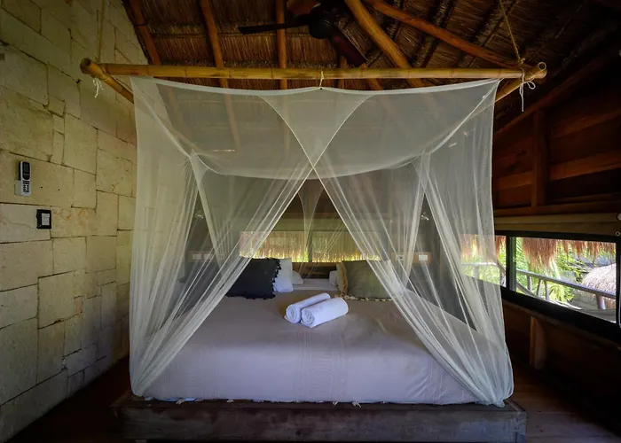 Vida Silvestre * Tulum