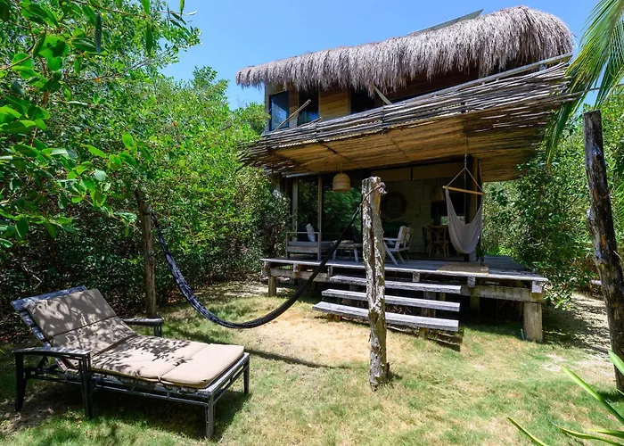 Vida Silvestre * Tulum