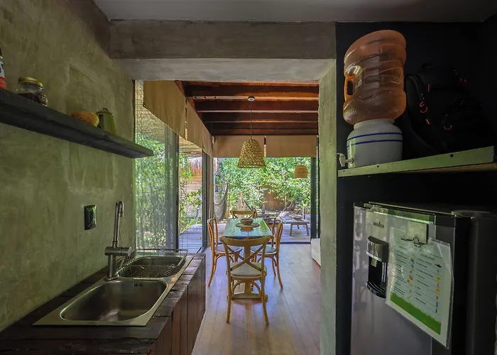 Vida Silvestre * Tulum Pueblo