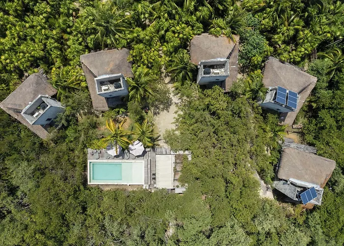 Lodge Vida Silvestre *