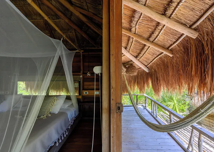 Vida Silvestre Lodge *